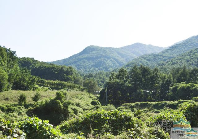 대표시청각 이미지