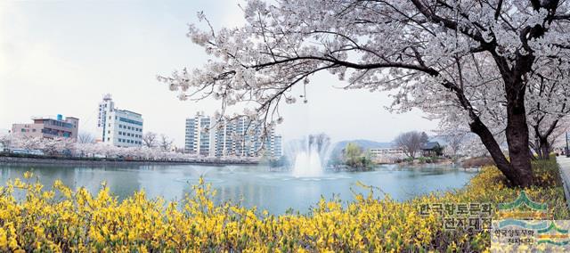 대표시청각 이미지