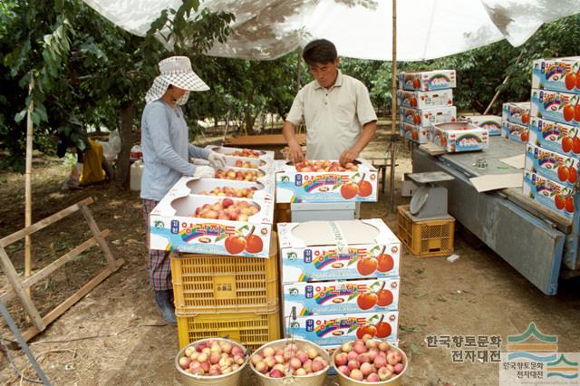 대표시청각 이미지